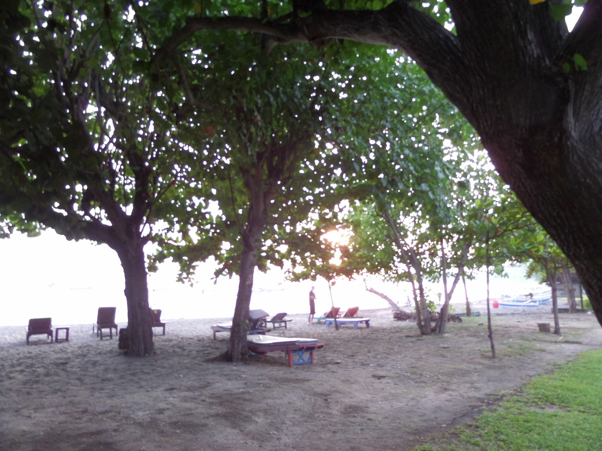 Taman Selini Wahana Beach Resort Pemuteran Exterior foto