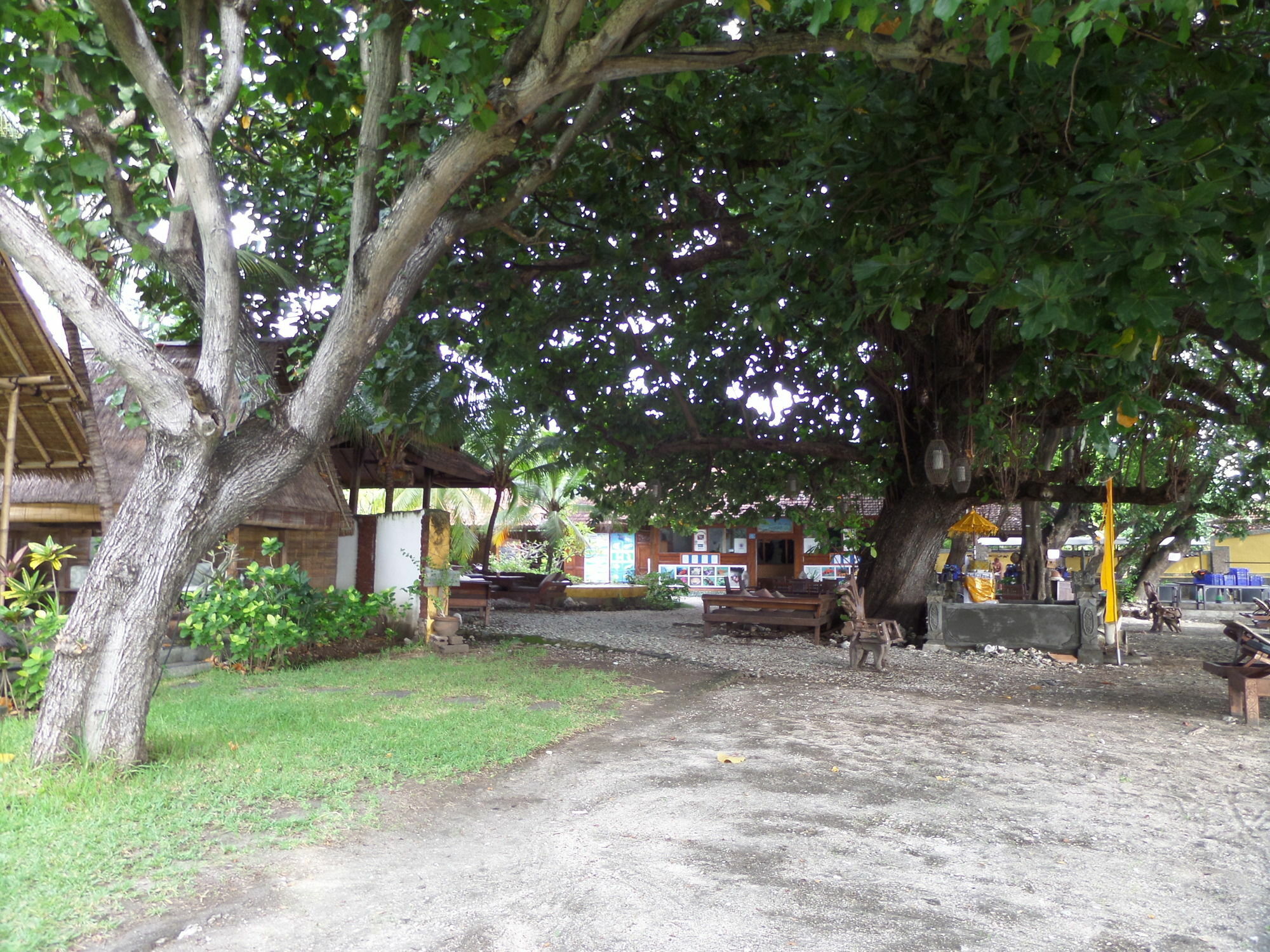 Taman Selini Wahana Beach Resort Pemuteran Exterior foto