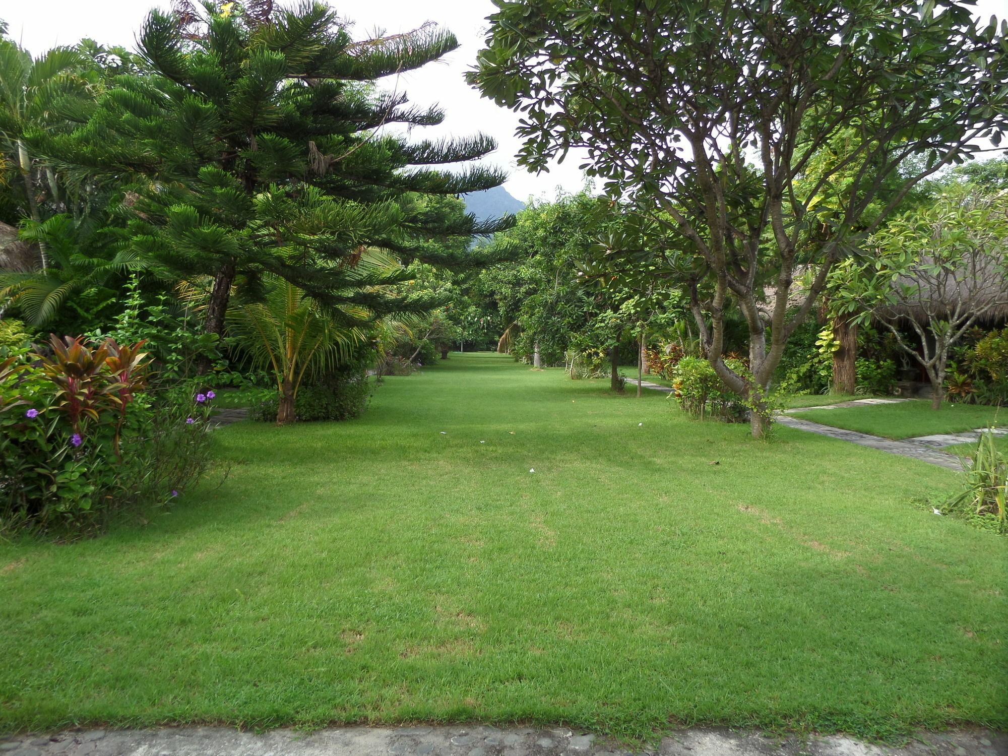 Taman Selini Wahana Beach Resort Pemuteran Exterior foto