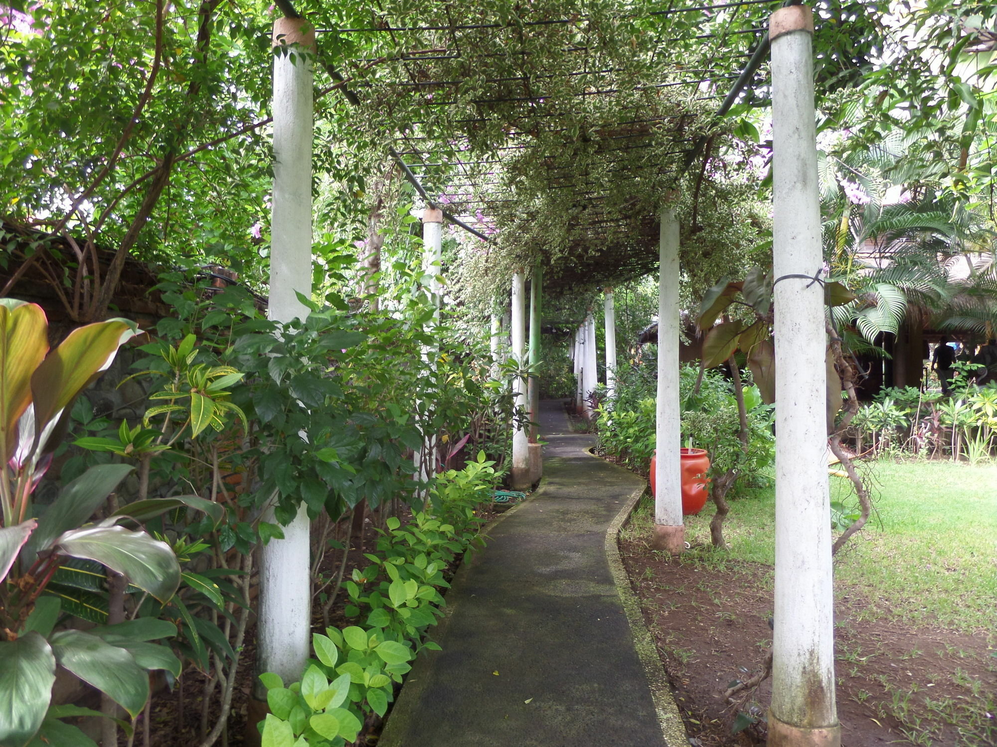Taman Selini Wahana Beach Resort Pemuteran Exterior foto