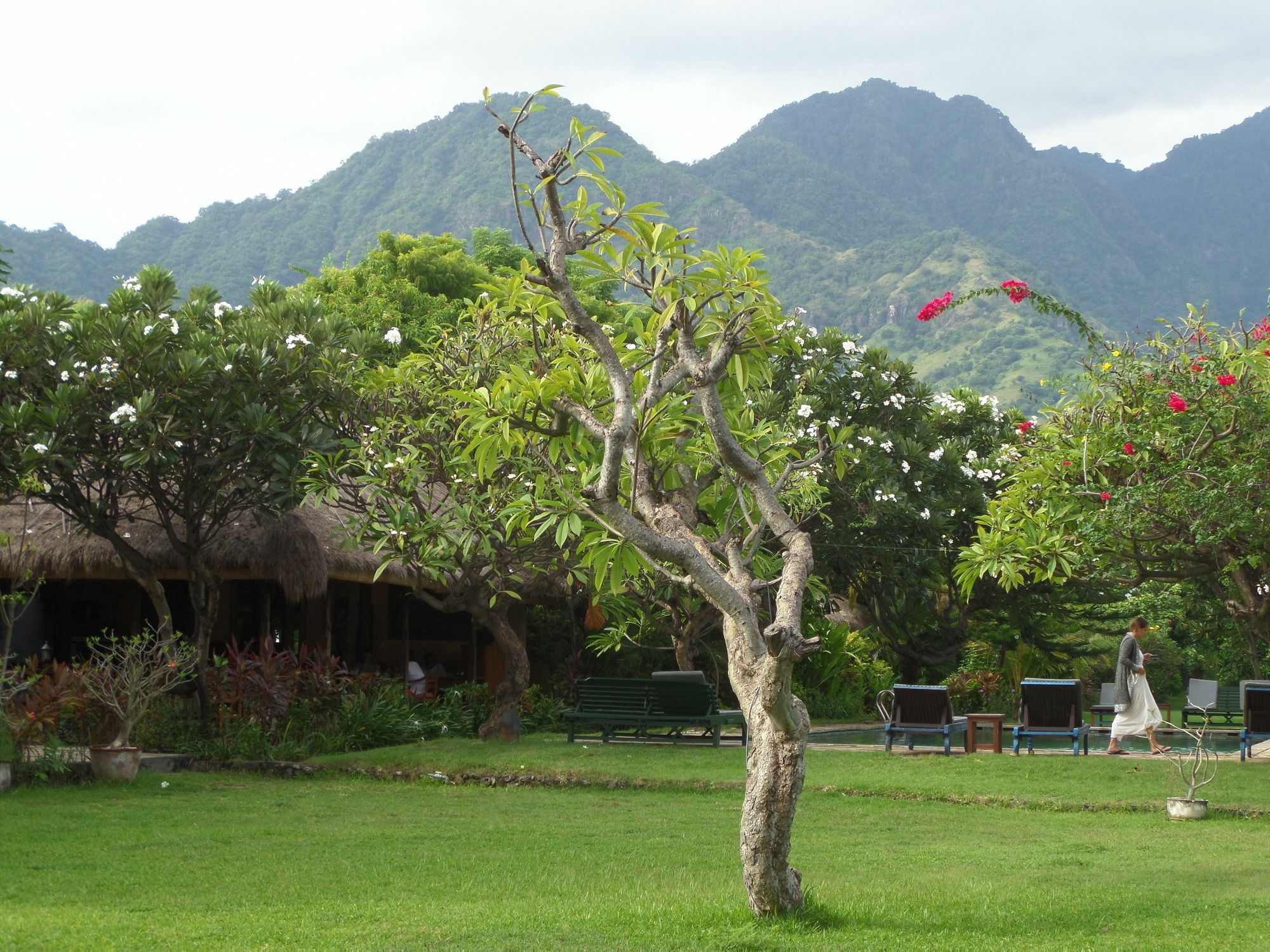 Taman Selini Wahana Beach Resort Pemuteran Exterior foto